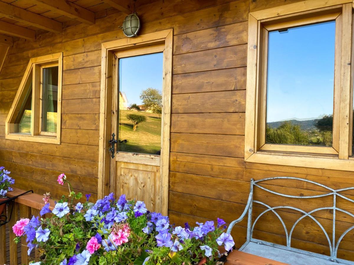 Agri Camp Dolomiti Διαμέρισμα Μπελούνο Εξωτερικό φωτογραφία