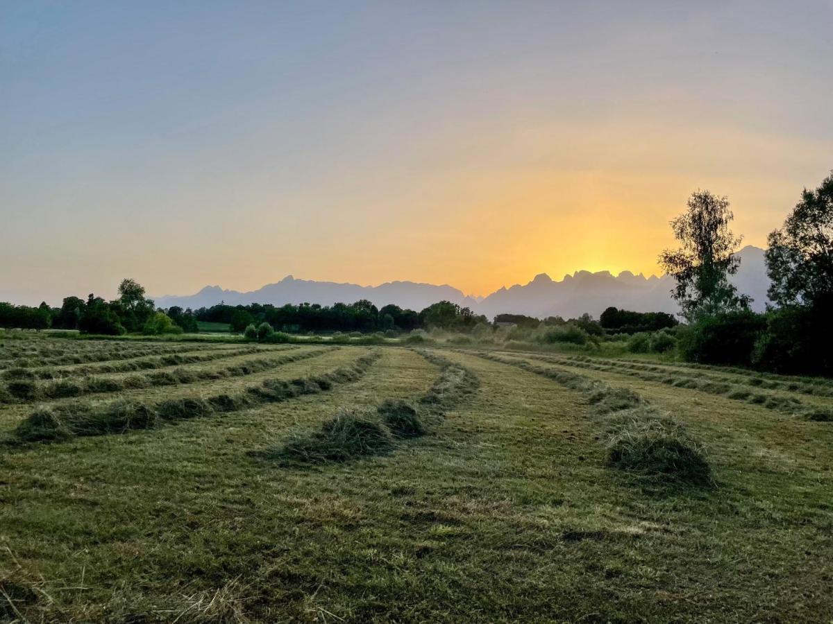 Agri Camp Dolomiti Διαμέρισμα Μπελούνο Εξωτερικό φωτογραφία