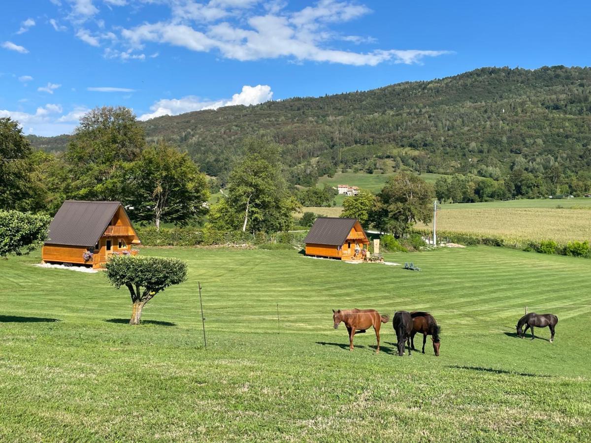 Agri Camp Dolomiti Διαμέρισμα Μπελούνο Εξωτερικό φωτογραφία