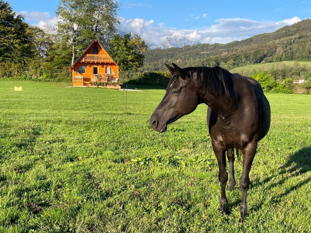 Agri Camp Dolomiti Διαμέρισμα Μπελούνο Εξωτερικό φωτογραφία