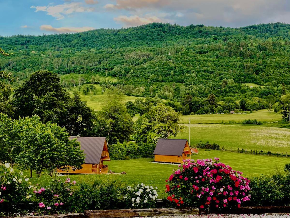 Agri Camp Dolomiti Διαμέρισμα Μπελούνο Εξωτερικό φωτογραφία