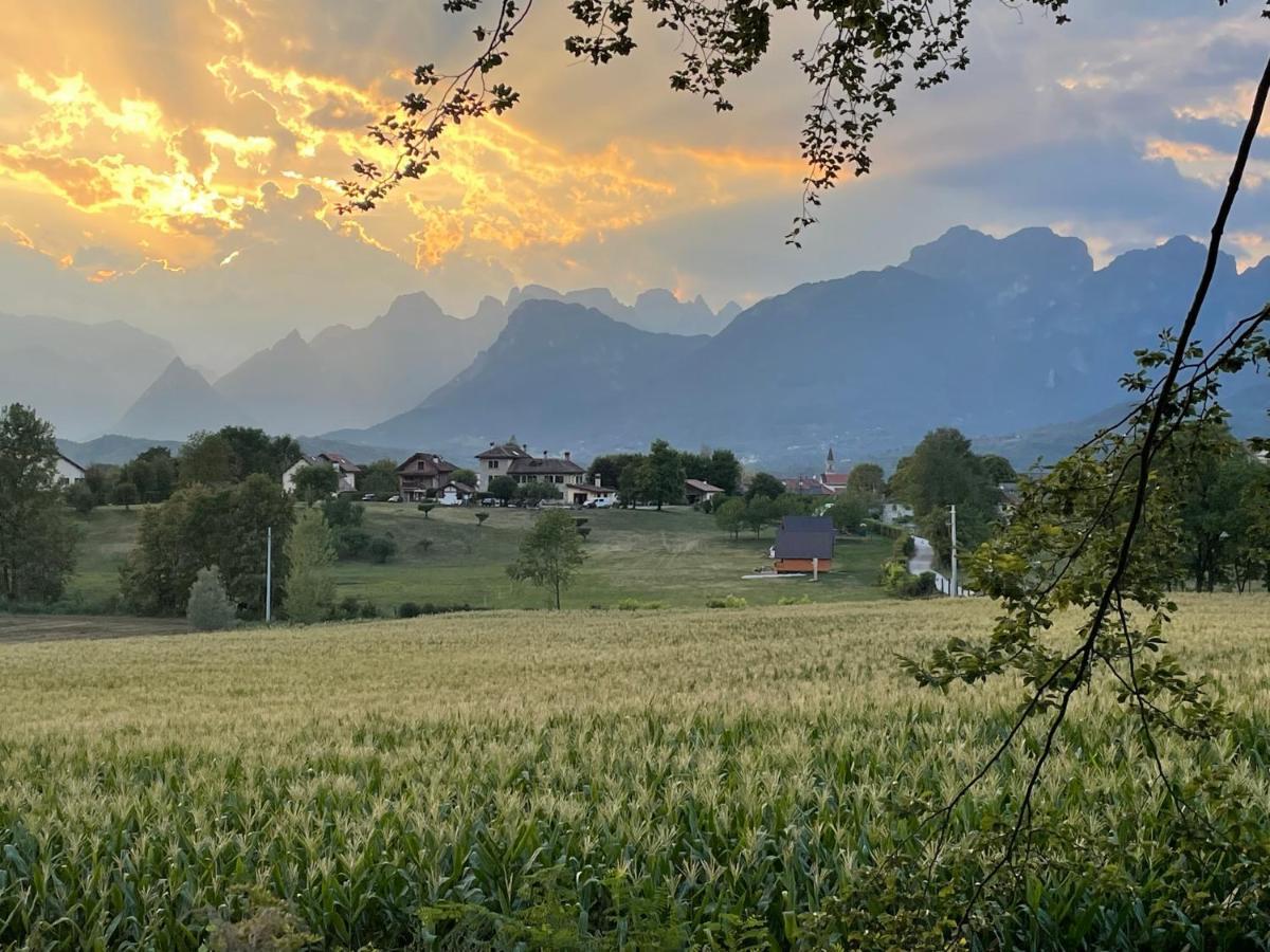 Agri Camp Dolomiti Διαμέρισμα Μπελούνο Εξωτερικό φωτογραφία