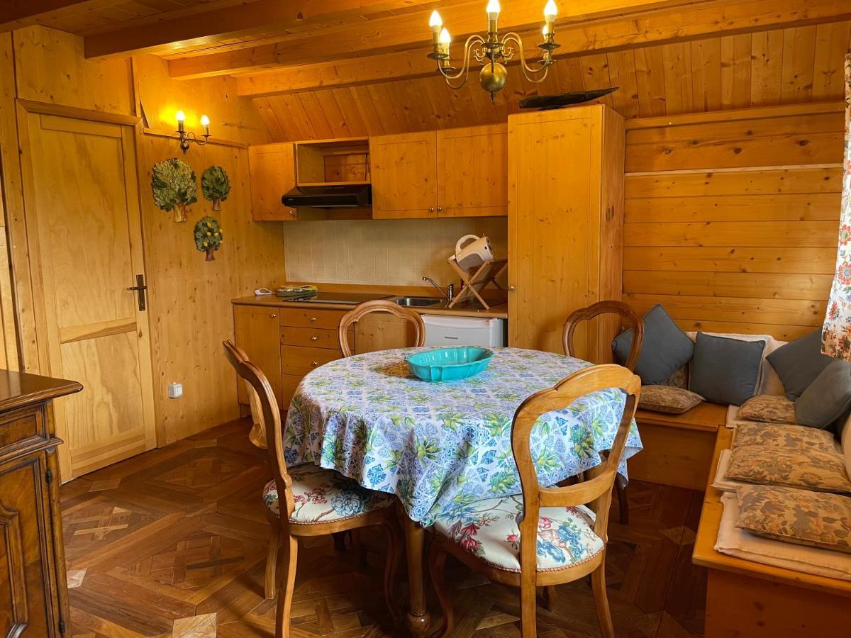 Agri Camp Dolomiti Διαμέρισμα Μπελούνο Εξωτερικό φωτογραφία
