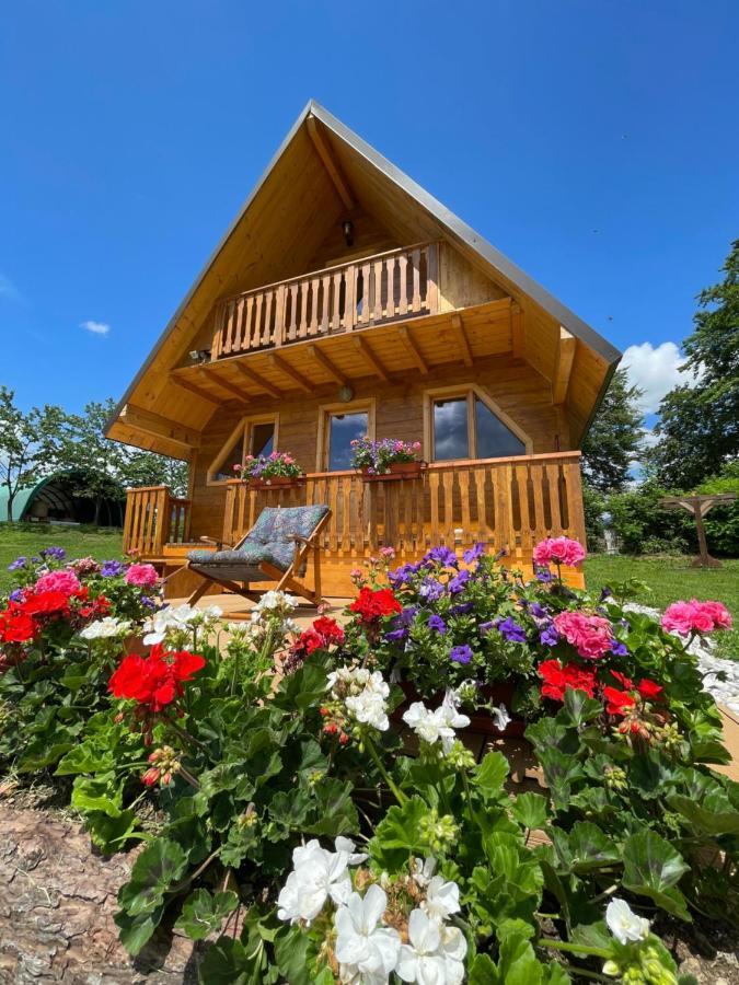 Agri Camp Dolomiti Διαμέρισμα Μπελούνο Εξωτερικό φωτογραφία