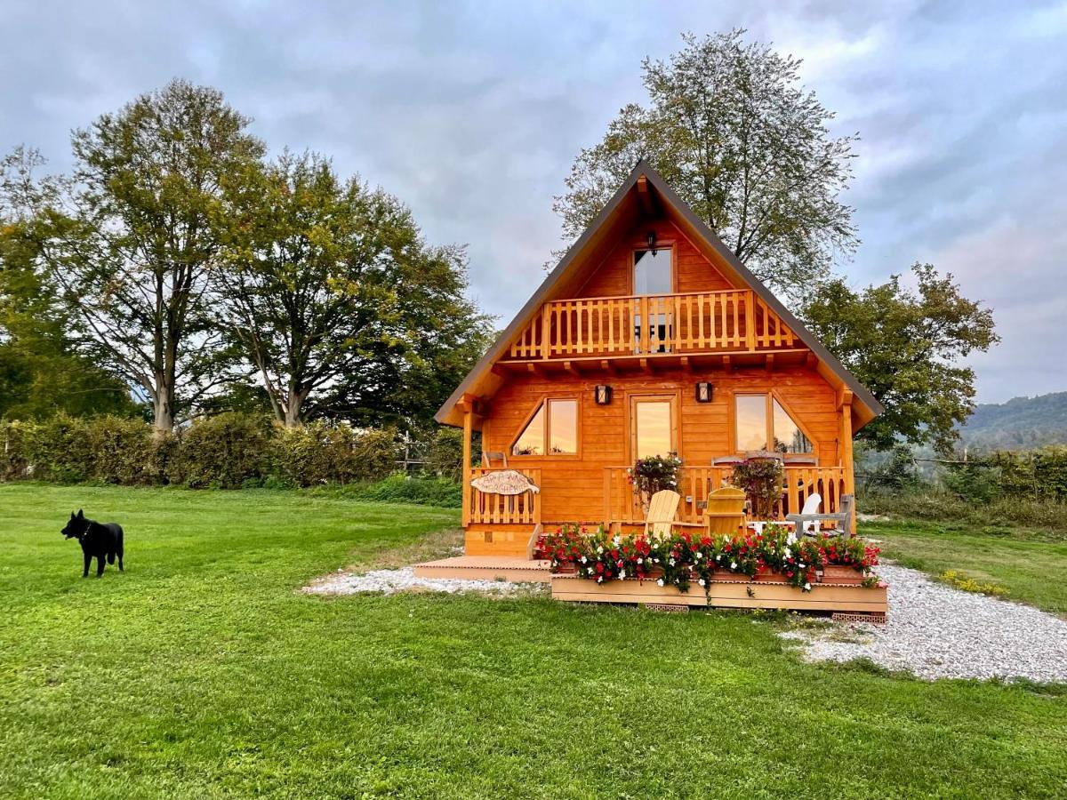 Agri Camp Dolomiti Διαμέρισμα Μπελούνο Εξωτερικό φωτογραφία