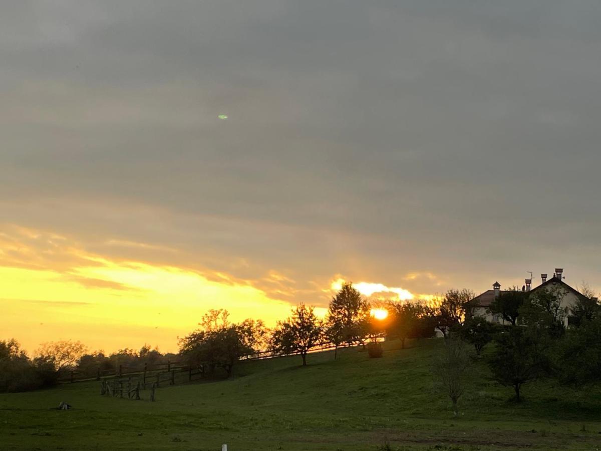 Agri Camp Dolomiti Διαμέρισμα Μπελούνο Εξωτερικό φωτογραφία