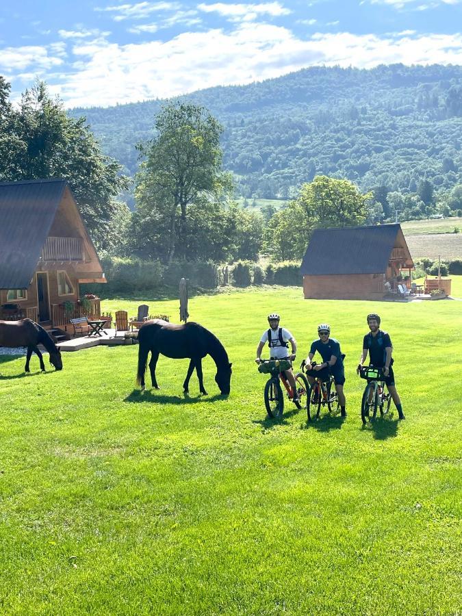 Agri Camp Dolomiti Διαμέρισμα Μπελούνο Εξωτερικό φωτογραφία
