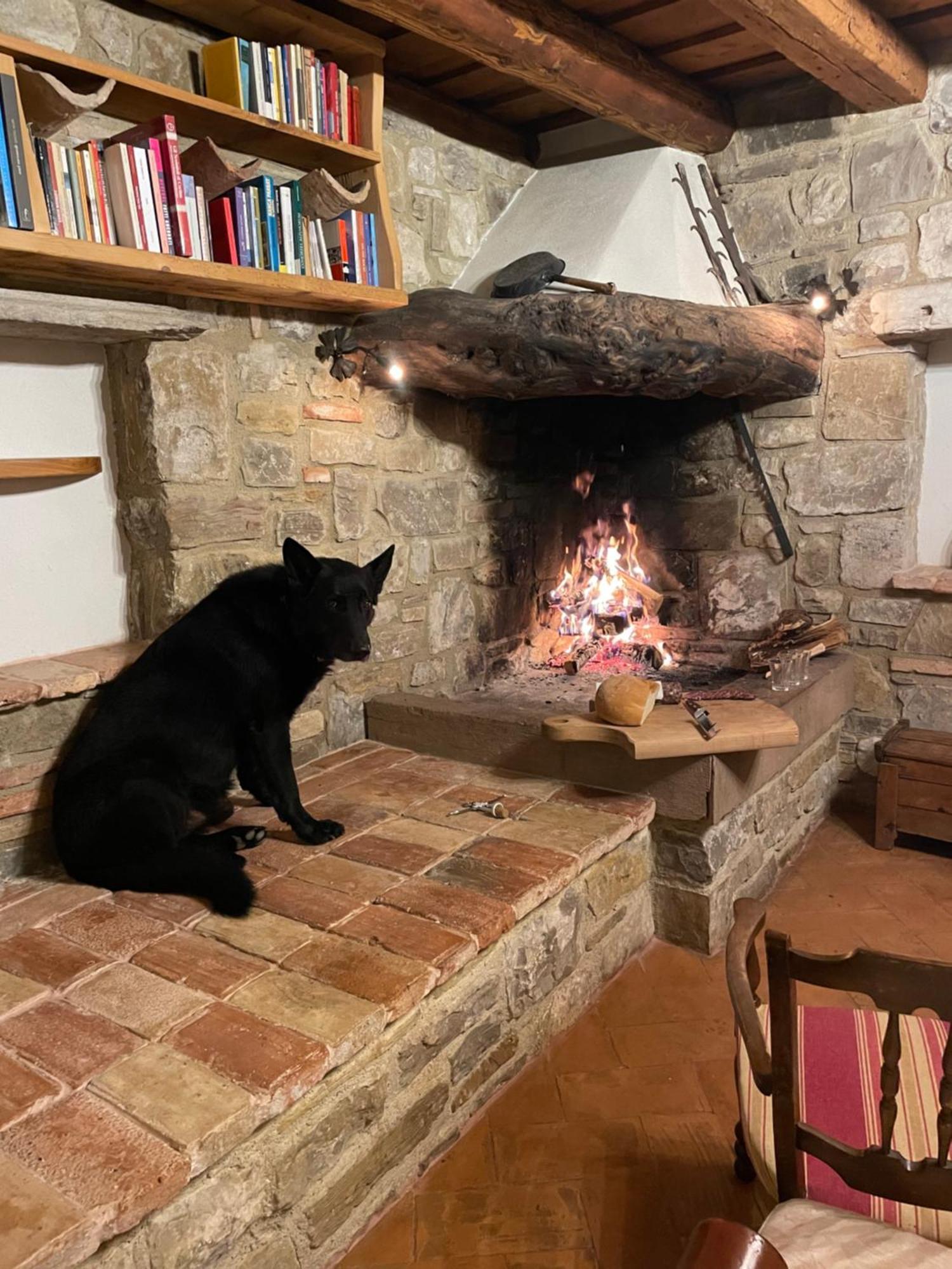Agri Camp Dolomiti Διαμέρισμα Μπελούνο Εξωτερικό φωτογραφία