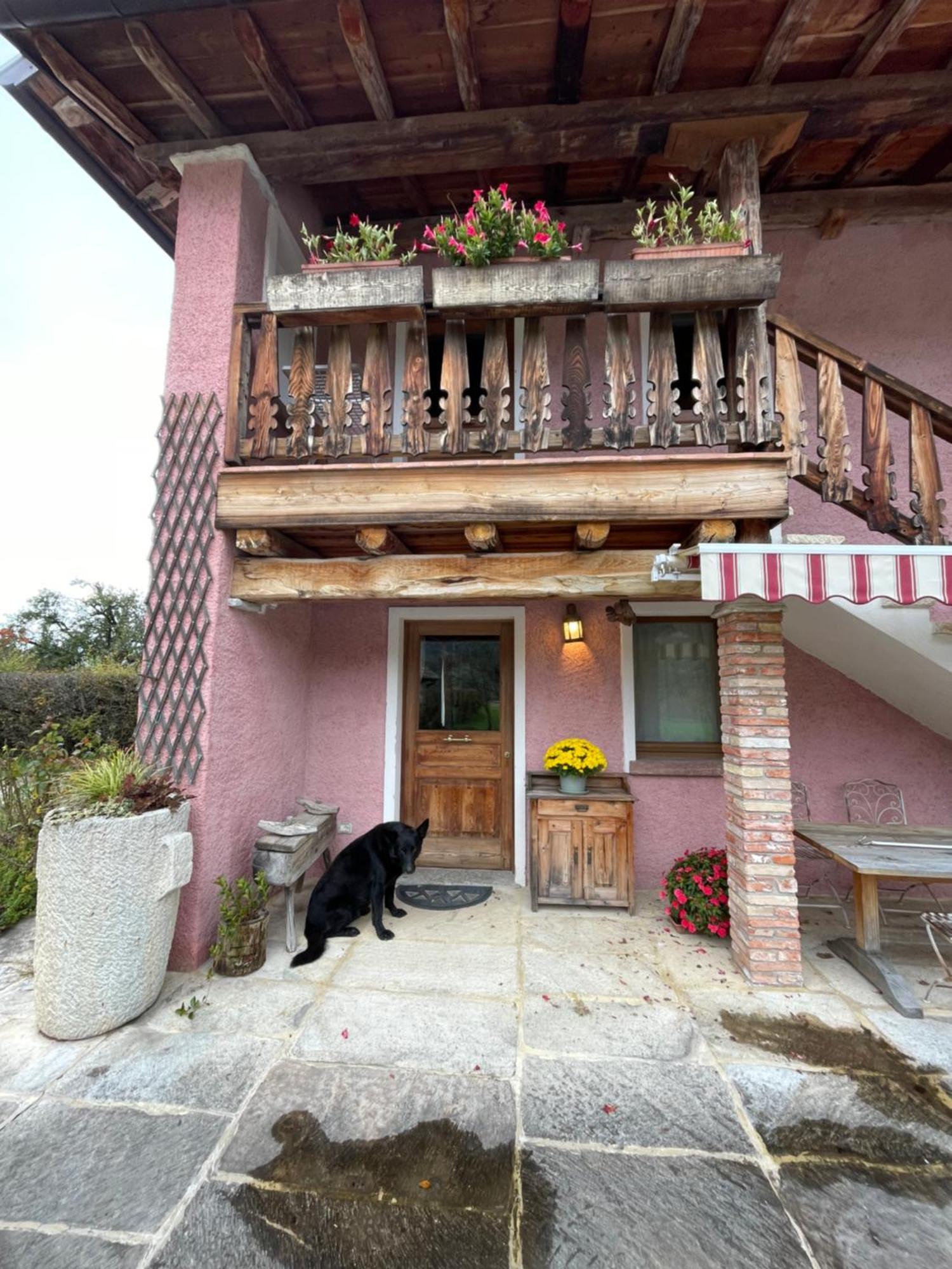 Agri Camp Dolomiti Διαμέρισμα Μπελούνο Εξωτερικό φωτογραφία