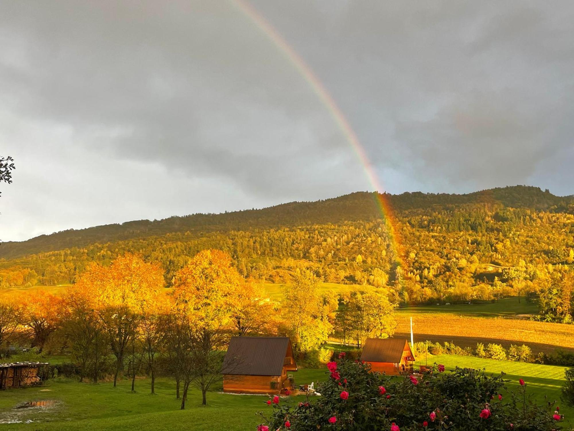 Agri Camp Dolomiti Διαμέρισμα Μπελούνο Εξωτερικό φωτογραφία